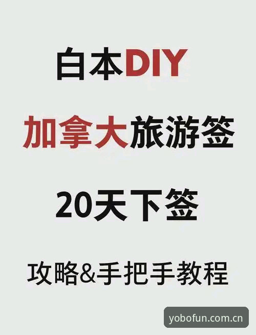 yobo体育平台从零开始使用教程：注册、下载到投注全流程解析