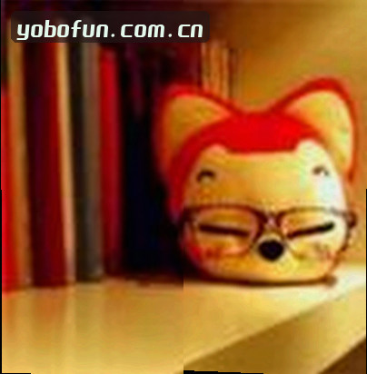赵敏